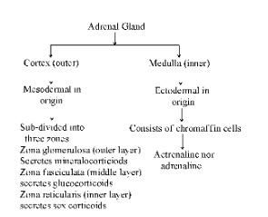 Solution Image