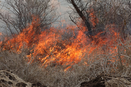 LOST BIODIVERSITY: Fire in the Tsavo National Park. Image: GILBERT KOECH