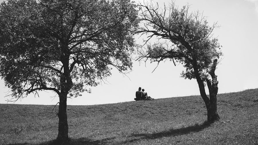 Fotografo di matrimoni Alex Lv (kanglv). Foto del 16 giugno 2016