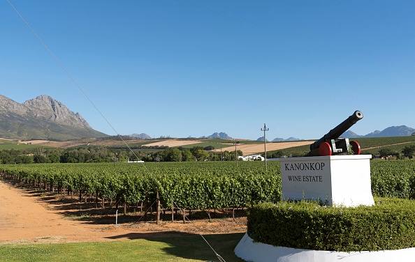 The highest scoring wine in 2023 was the Kanonkop CWG Paul Sauer 2020. Picture: PETER TITMUSS/123RF