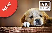 Dogs and Puppies Wallpapers & New Tab small promo image