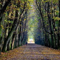 Il viale dell'autunno di 