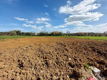 terrain à Bressols (82)