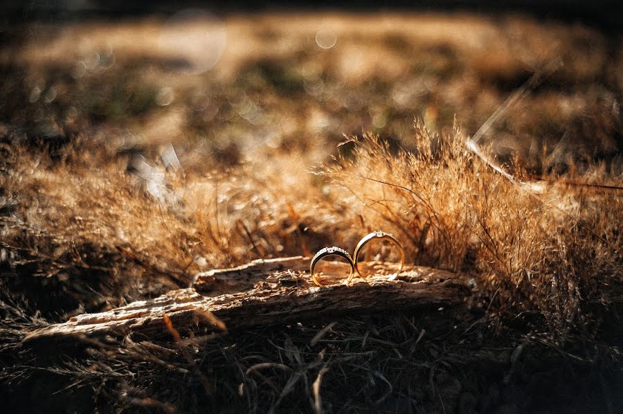 Fotógrafo de bodas Nhan Le (andyle). Foto del 10 de marzo 2020