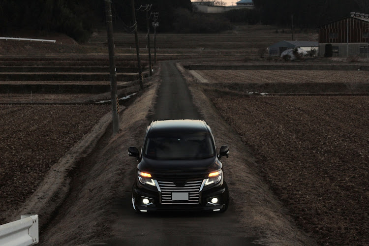 エルグランドのM'z SPEED・一眼レフカメラ練習中・曇りは洗車日和・洗車したい症候群に関するカスタム事例の投稿画像3枚目