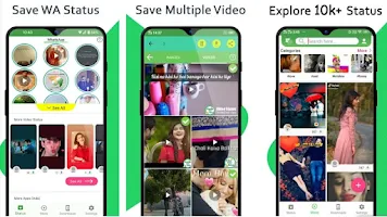 Status Saver - Video Saver Pro Screenshot