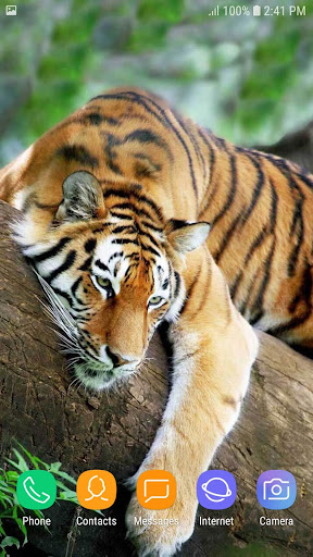 Wild Animals Live Wallpaper