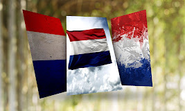 Netherlands Flag Wallpaper - Nederland
