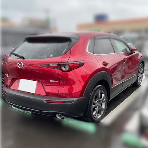 CX-30 DMEP