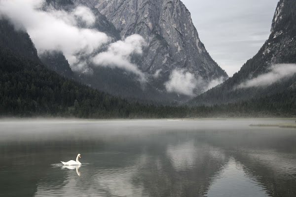 Lago di Dobbiaco di si