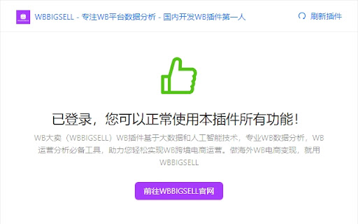 WBBIGSELL - 专注WB平台数据分析 - 国内开发WB插件第一人