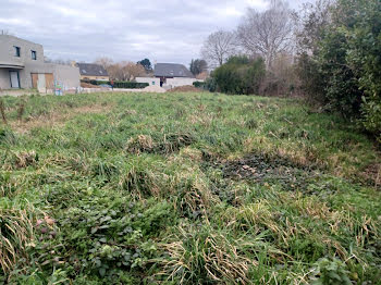 maison neuve à Langan (35)