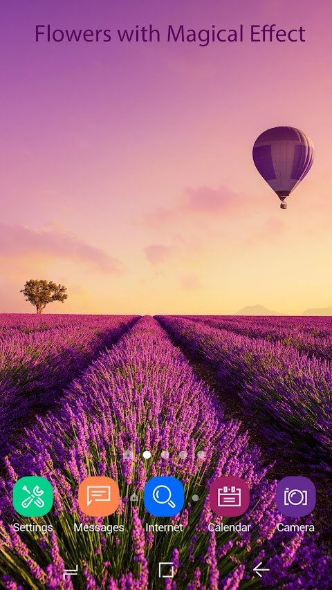 Lavender Live Wallpaper HDのおすすめ画像2