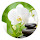 Orchid New Tab Page HD Top Wallpapers Theme