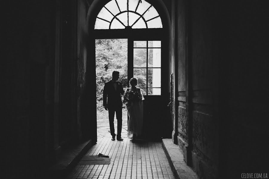 Wedding photographer Anna Gorbenko (annagorbenko). Photo of 10 March 2016