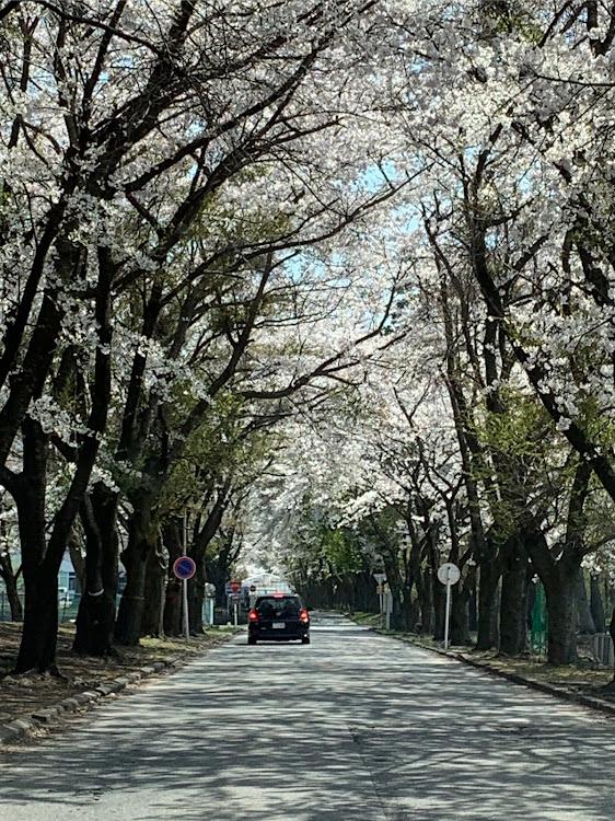 の投稿画像1枚目