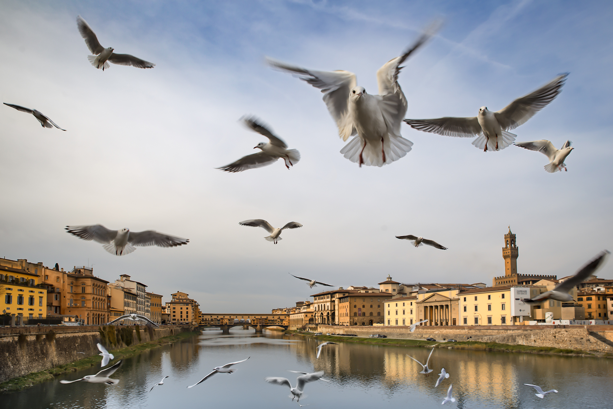 Lungo l'Arno di utente cancellato