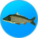 Cover Image of Download True Fishing. Fishing simulator 1.11.0.528 APK