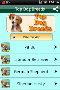 Download Dog Breeds Easy Pet Finder apk