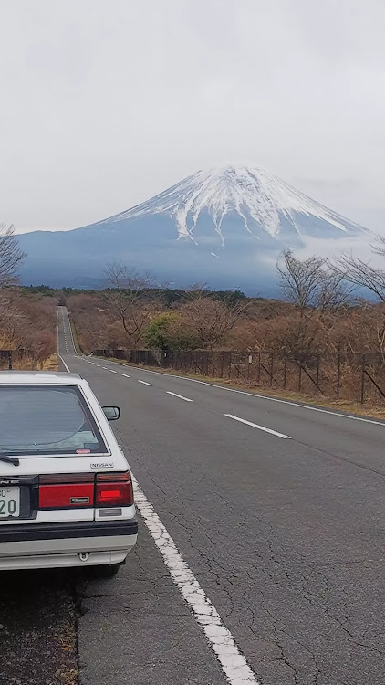 の投稿画像3枚目