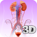 ダウンロード Urinary System Pro. をインストールする 最新 APK ダウンローダ