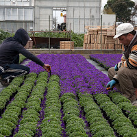 agricolturalmente di 