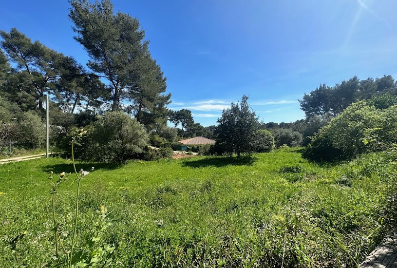  Vente Terrain à bâtir - 1 000m² à Ollioules (83190) 