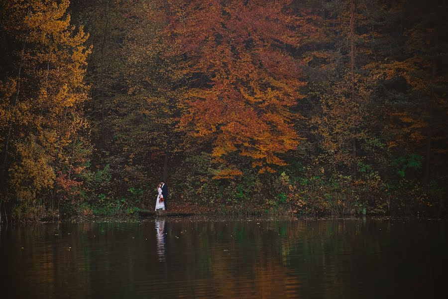 Düğün fotoğrafçısı Aleksandra Chrostowska (piolastudio). 10 Kasım 2020 fotoları