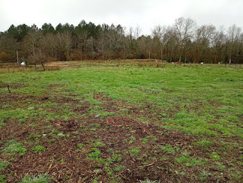 terrain à Rion-des-Landes (40)