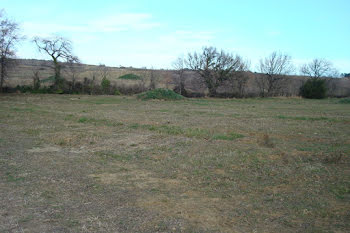 terrain à Sorède (66)