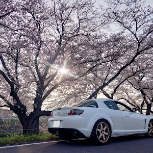 RX-8 SE3P