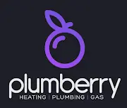 Plumberry Logo