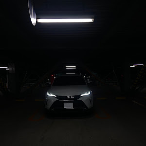 ハリアー MXUA80