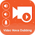 Video Voice Dubbing1.6