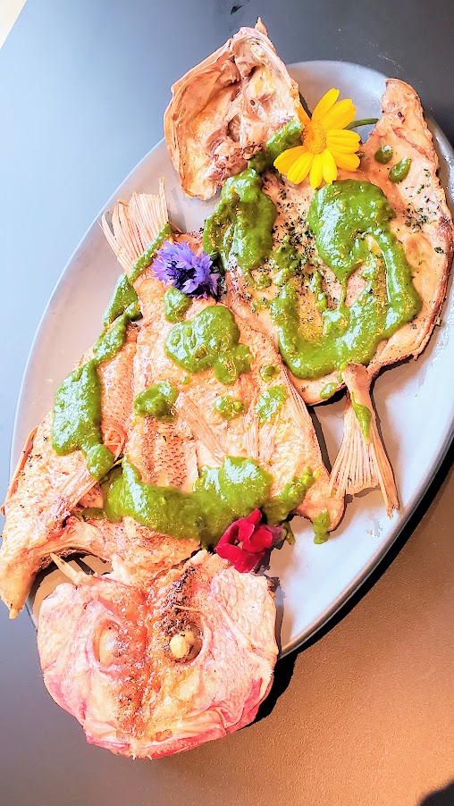 King Tide Fish and Shell, Red Snapper with clam salsa verde