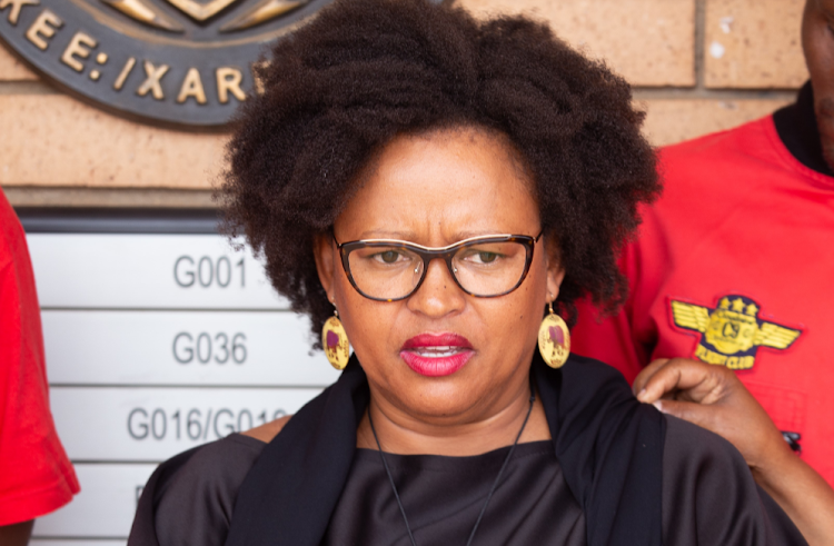 Former EFF Gauteng chairperson Mandisa Mashego testifies at the SA Human Rights Commission hearings on discrimination in the advertising sector. File photo.