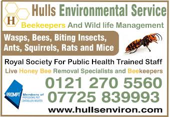 hulls environmental services album cover