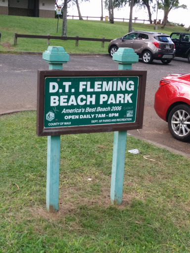 D. T. Fleming Beach Park