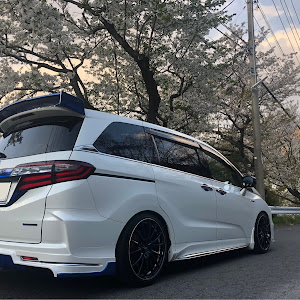 オデッセイ RC4