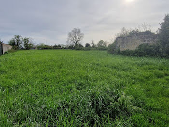 terrain à Annezay (17)