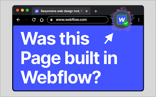 Webflow Checker