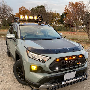 RAV4 MXAA54