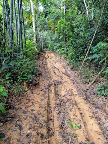 Lata Medang hiking guide