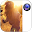Lens Flare Photo Effect Editor Download on Windows