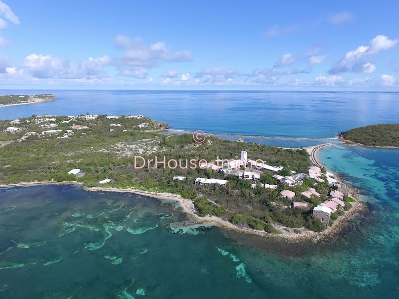 Vente terrain  11000 m² à Saint-Martin (97150), 29 000 000 €