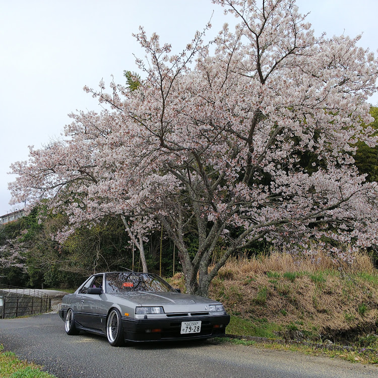 スカイラインの桜と愛車・桜とコラボ・鉄仮面・今富ダム・宇部市に関するカスタム事例の投稿画像6枚目