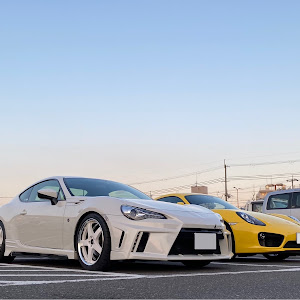 86 ZN6
