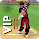 Smashing Cricket VIP Download on Windows