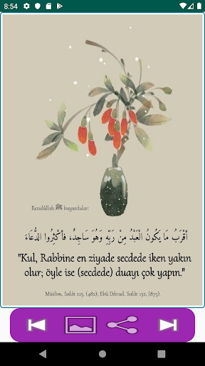 Sahih Hadisler Resimli Mesajlar