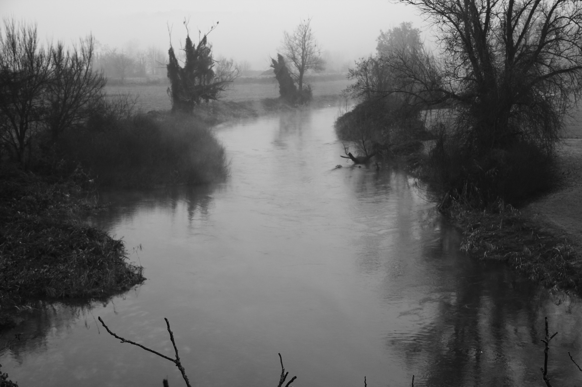 Il fiume Mincio di Enrico Chiamenti